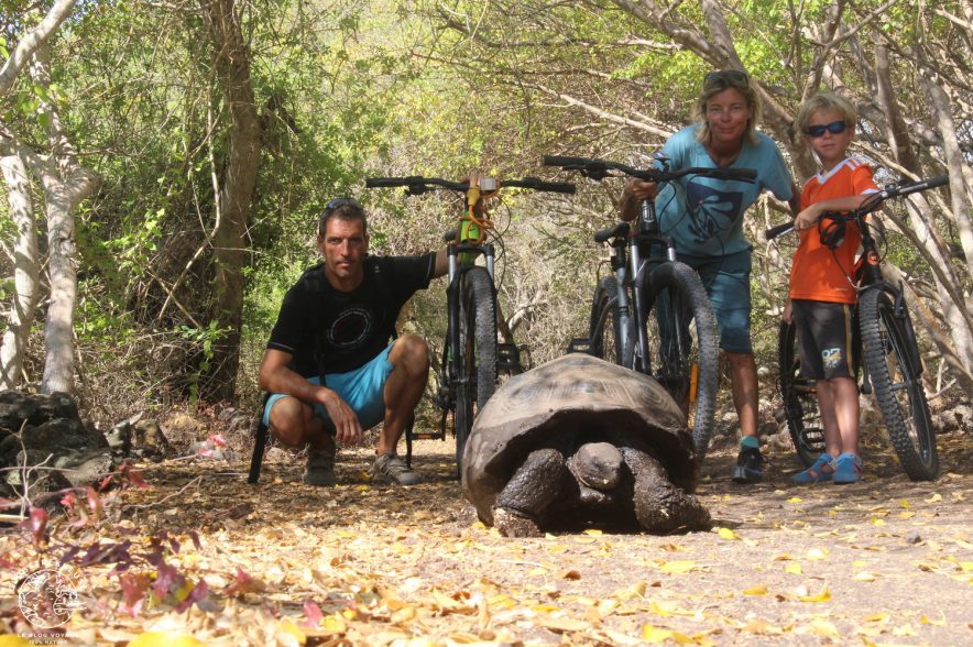 voyage en Equateur galapagos tortue
